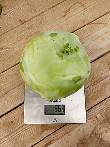 ���� ���� ��� ���� ����