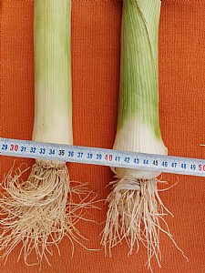 �� �� �����. ���� ���� ���� ����� ����� ���� ��� - ��� ���� ���� �����!