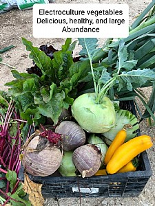 ���� ������ 60X40 ����� �� ����� �� ������ ����