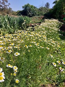 �� ���� ����� ��� ��� ����� �� �� ���