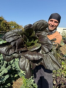 ����� ����� ���� �'�� ����� - ����� ������ ������ ����. 