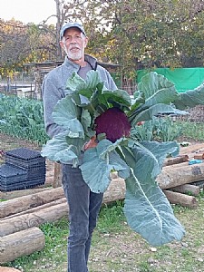 ����� ���� ���� ���� ������ ���� ���� �����