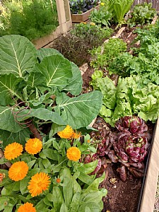 ������... ������!