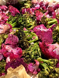 ��� - ������ �����...